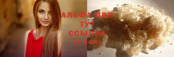 молекула духа Ростов