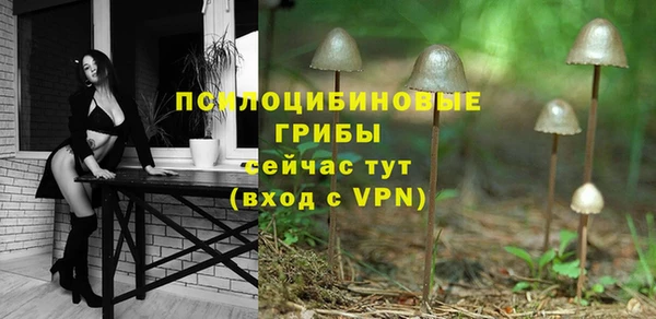 ГАЛЛЮЦИНОГЕННЫЕ ГРИБЫ Беломорск