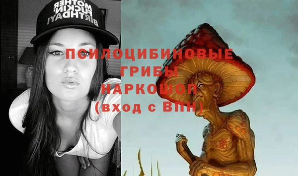 Альфа ПВП Богданович