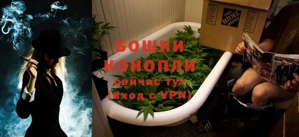 ГАЛЛЮЦИНОГЕННЫЕ ГРИБЫ Покачи