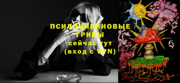 молекула духа Ростов
