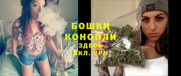 молекула духа Ростов
