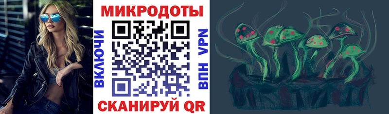 закладки  Судогда  Галлюциногенные грибы Cubensis 